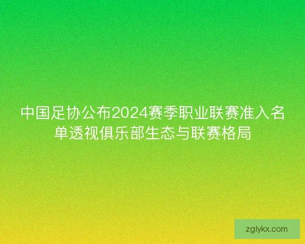 中国足协公布2024赛季职业联赛准入名单透视俱乐部生态与联赛格局