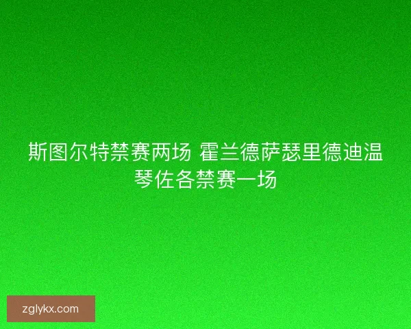 斯图尔特禁赛两场 霍兰德萨瑟里德迪温琴佐各禁赛一场