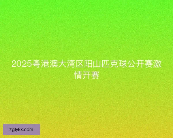 2025粤港澳大湾区阳山匹克球公开赛激情开赛