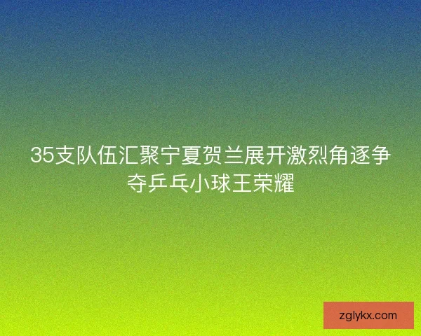 35支队伍汇聚宁夏贺兰展开激烈角逐争夺乒乓小球王荣耀