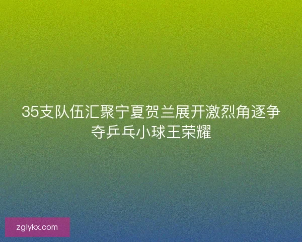 35支队伍汇聚宁夏贺兰展开激烈角逐争夺乒乓小球王荣耀
