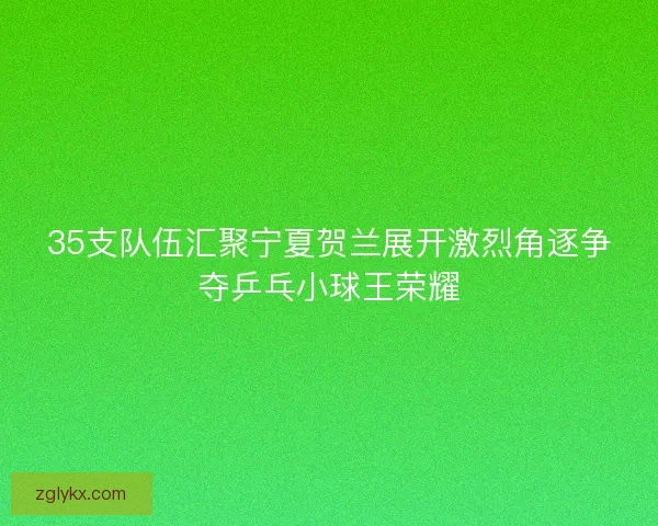 35支队伍汇聚宁夏贺兰展开激烈角逐争夺乒乓小球王荣耀
