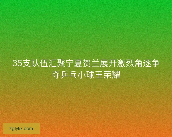35支队伍汇聚宁夏贺兰展开激烈角逐争夺乒乓小球王荣耀