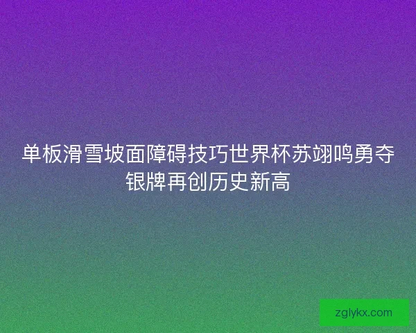 单板滑雪坡面障碍技巧世界杯苏翊鸣勇夺银牌再创历史新高